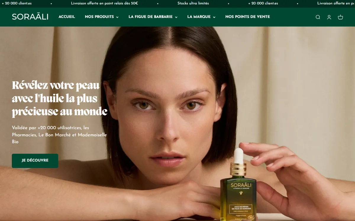 Page d’accueil de soraali.com sur ordinateur